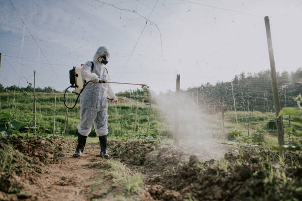 Best Ant Control Services  in Arnold, PA