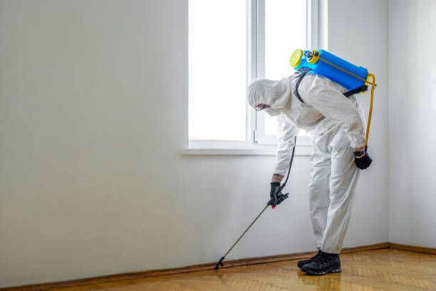 Best Flea Control Services  in Arnold, PA